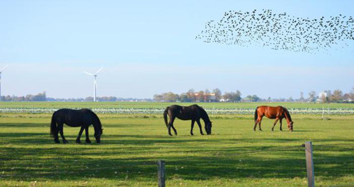 Wohnen in der Stadt Norderstedt